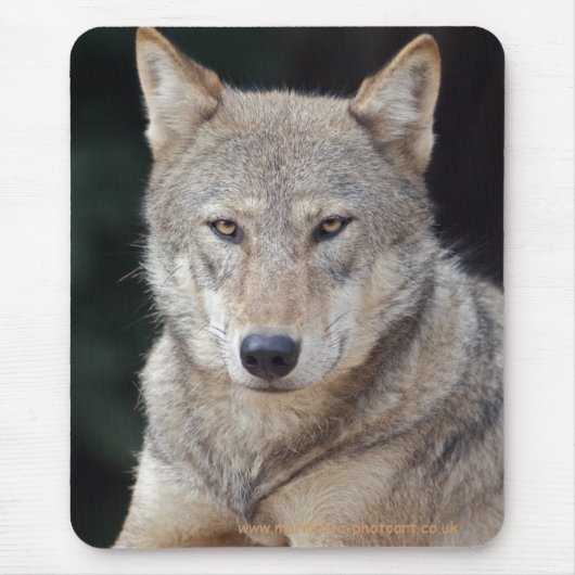 Grauer Wolf-Mauspad Mousepad (Vorne)