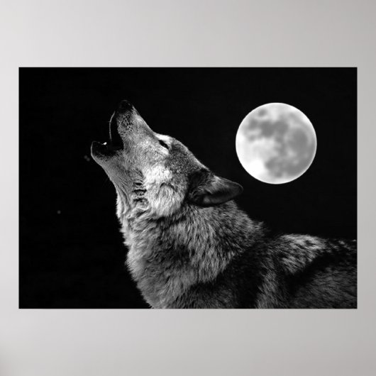 Grauer Wolf & Mond Poster Druck (Vorne)