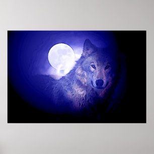 Grauer Wolf & Mond Poster Druck - Blaue Nachtwölfe