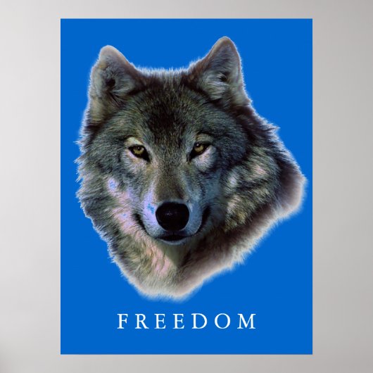 Grauer Wolf Motivierend Freedom Poster Print (Vorne)