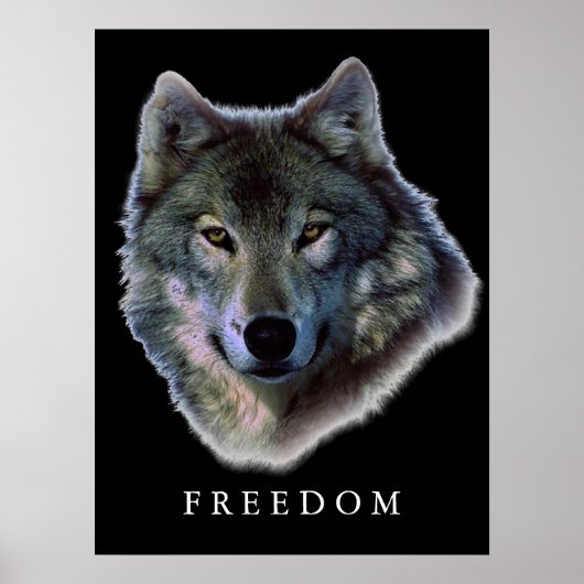 Grauer Wolf Motivierend Freedom Poster Print (Vorne)