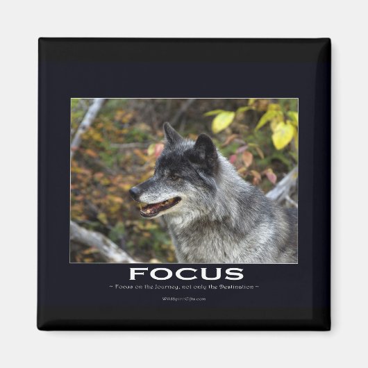Grauer Wolf Motivierend Geschenke Magnet (Vorne)