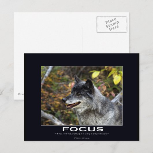 Grauer Wolf Motivierend Geschenke Postkarte (Vorne/Hinten)