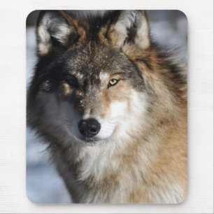 Grauer Wolf Mousepad