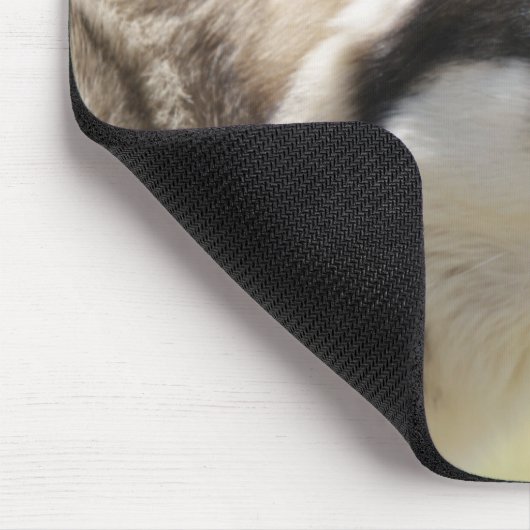 Grauer Wolf Mousepad (Ecke)