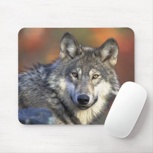 Grauer Wolf Mousepad (Mit Mouse)
