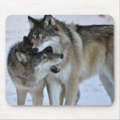Grauer Wolf Mousepad (Vorne)