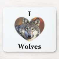 Grauer Wolf