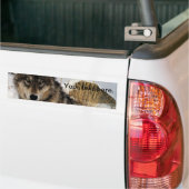 Grauer Wolf oder Timberwolf, die in den Schnee Autoaufkleber (Auf Lkw)