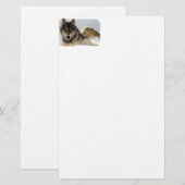 Grauer Wolf oder Timberwolf, die in den Schnee Briefpapier (Vorne/Hinten)