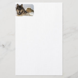 Grauer Wolf oder Timberwolf, die in den Schnee Briefpapier