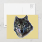 Grauer Wolf Postkarte (Vorne/Hinten)