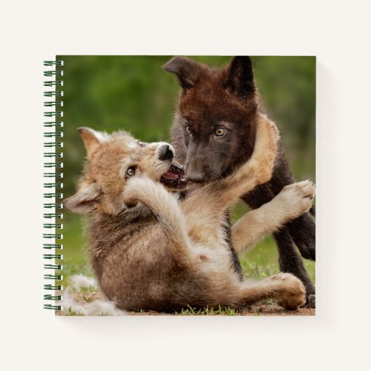 Grauer Wolf Pups Wrestling Notizblock (Vorderseite)