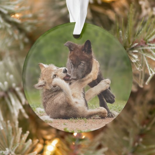 Grauer Wolf Pups Wrestling Ornament (Baum)