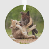Grauer Wolf Pups Wrestling Ornament (Rückseite)