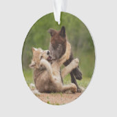 Grauer Wolf Pups Wrestling Ornament (Vorderseite)