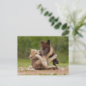 Grauer Wolf Pups Wrestling Postkarte (Stehend Vorderseite)