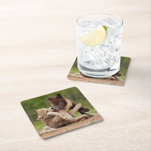 Grauer Wolf Pups Wrestling Rechteckiger Pappuntersetzer (Vor Ort)