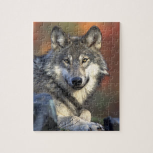 Grauer Wolf Puzzle