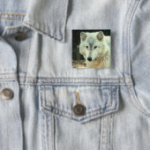 Grauer Wolf-Quadrat-Button Button (Beispiel)