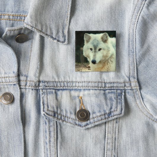 Grauer Wolf-Quadrat-Button Button (Beispiel)