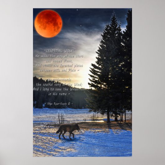 Grauer Wolf, Schnee, Blütenmond & Lake w Wolf Gedi Poster (Vorne)