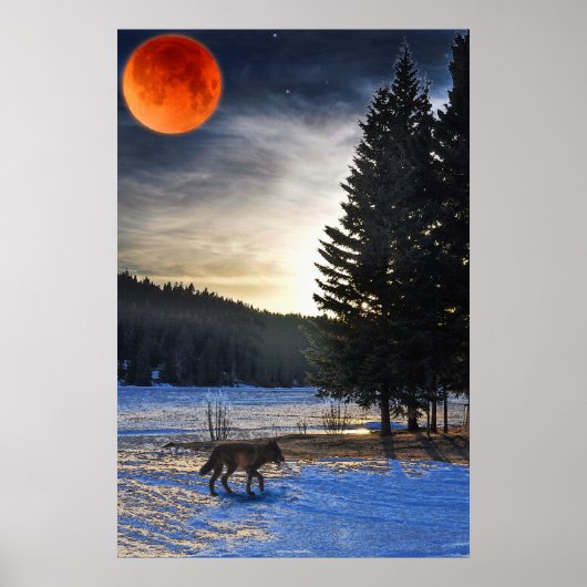 Grauer Wolf, Schnee, Blütenmond & Lake Wildlife Ar Poster (Vorne)