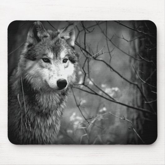 Grauer Wolf - Schwarzweiss Mousepad (Vorne)