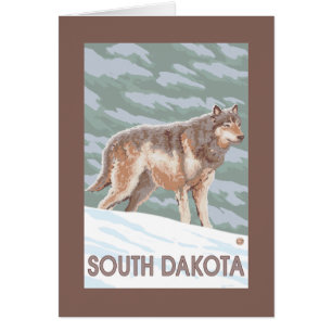 Grauer Wolf StandingSouth Dakota