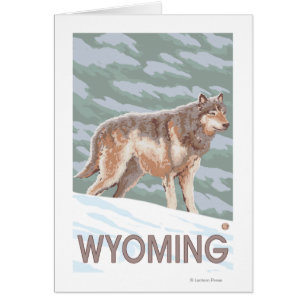Grauer Wolf StandingWyoming
