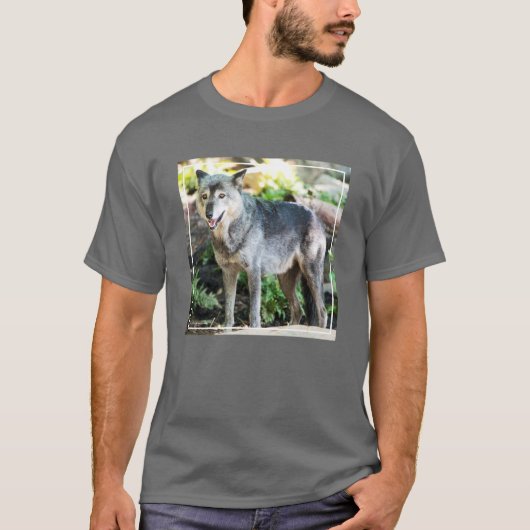 Grauer Wolf-stehendes allein T-Shirt (Vorderseite)