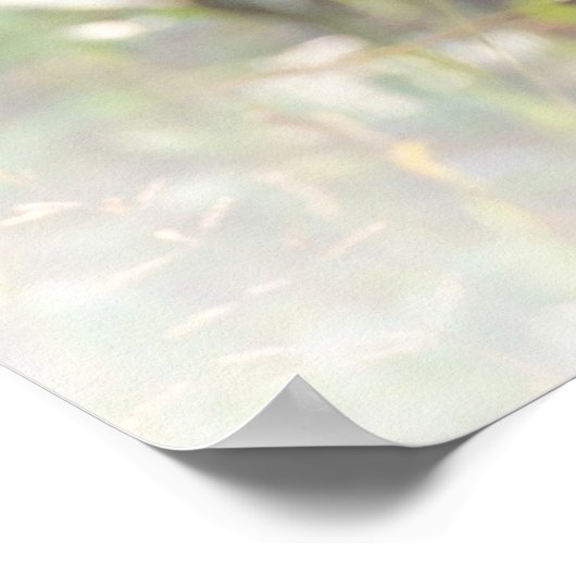 Grauer Wolf, Tier Poster (Ecke)