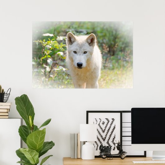 Grauer Wolf, Tier Poster (Heimbüro)