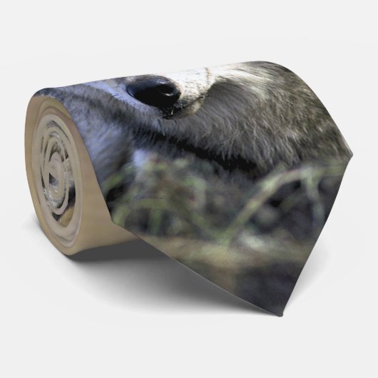 Grauer Wolf - Timberwolf - roter Wolf-Reihe Krawatte (Gerollt)