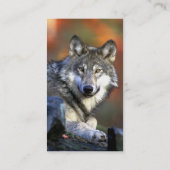 Grauer Wolf - Timberwolf - roter Wolf-Reihe Visitenkarte (Rückseite)