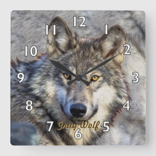 Grauer Wolf-Würde Quadratische Wanduhr