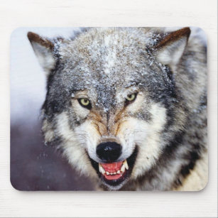 Grauer Wolf-Zähne Mousepad