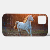 Graues Arabian Case-Mate iPhone Hülle (Rückseite (Horizontal))
