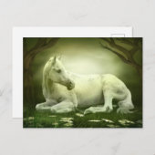 Graues Arabian Postkarte (Vorne/Hinten)