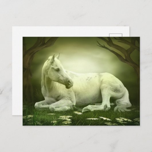 Graues Arabian Postkarte (Vorne/Hinten)