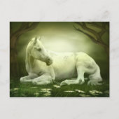 Graues Arabian Postkarte (Vorderseite)