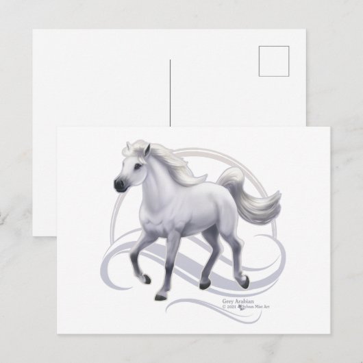 Graues Arabian Postkarte (Vorne/Hinten)
