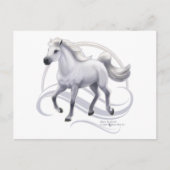 Graues Arabian Postkarte (Vorderseite)