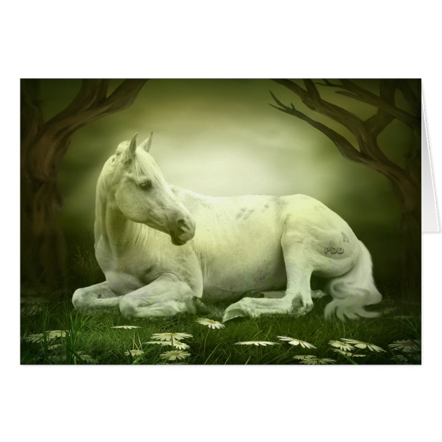 Graues Arabisches Pferd (Vorderseite (Horizontal))