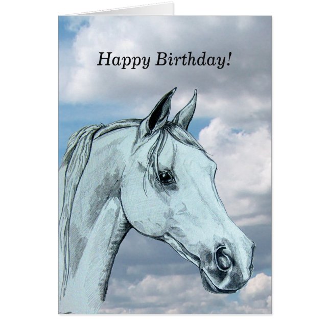 Graues Arabisches Pferd gegen Wolken (Vorne)