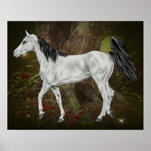 Graues Arabisches Pferd Poster
