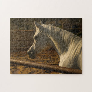 Graues arabisches Pferd Puzzle