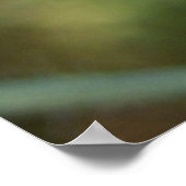 Graues Chicorée Poster (Ecke)