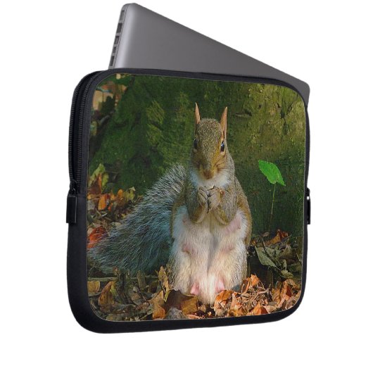 Graues Eichhörnchen 01 Laptopschutzhülle (Vorne Rechts)