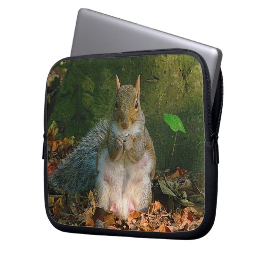 Graues Eichhörnchen 01 Laptopschutzhülle (Vorderseite Links)